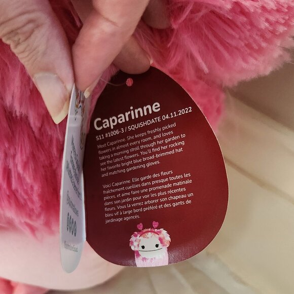 Squishmallows 11" Caparinne the Valentines Pink Bigfoot Plush Toy NWT - Picture 9 of 11